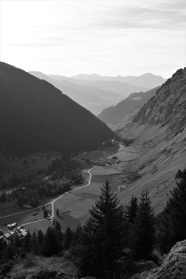 La Maizon Du Bois - Le Haut Appartement De 130 M2 - Le Bas Appartement De 70 M2 La Plagne Esterno foto